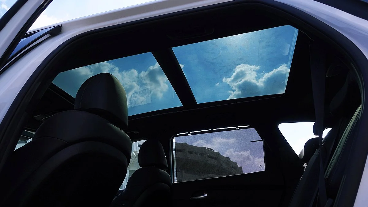 image_6303997081627365120999.jpg?type=w1200&type=w1200