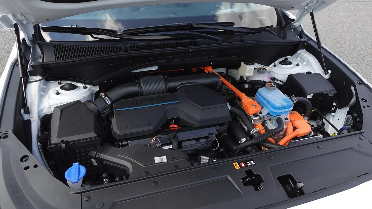 image_2673779911627358118112.jpg?type=w1200