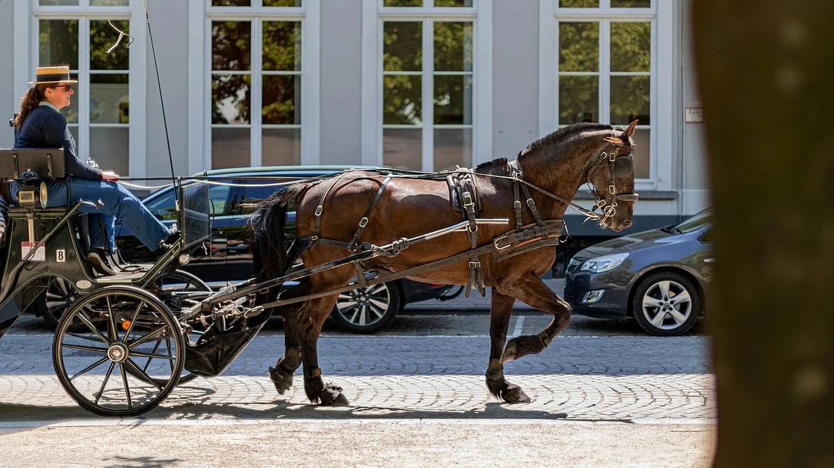 image_8919206601629796169079.jpg?type=w1200