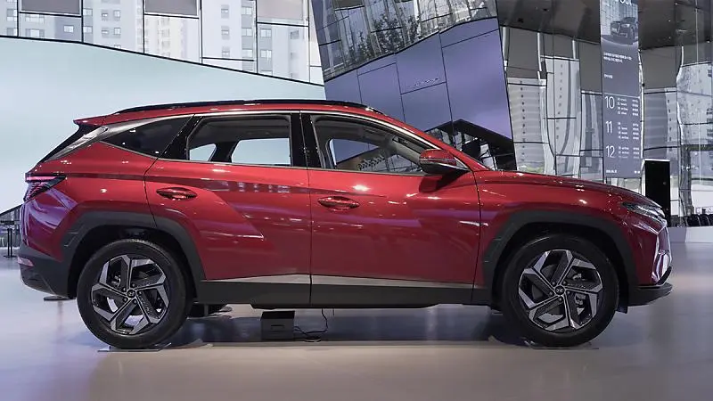 123123.jpg?type=w800_q75