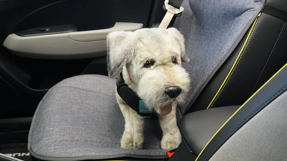 image_5227410781630292704623.jpg?type=w1200