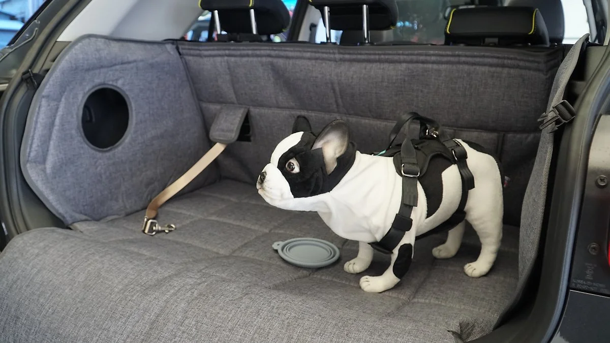 DK_09421.JPG?type=w1200