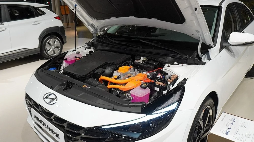 image_7746581111629251098330.jpg?type=w1200