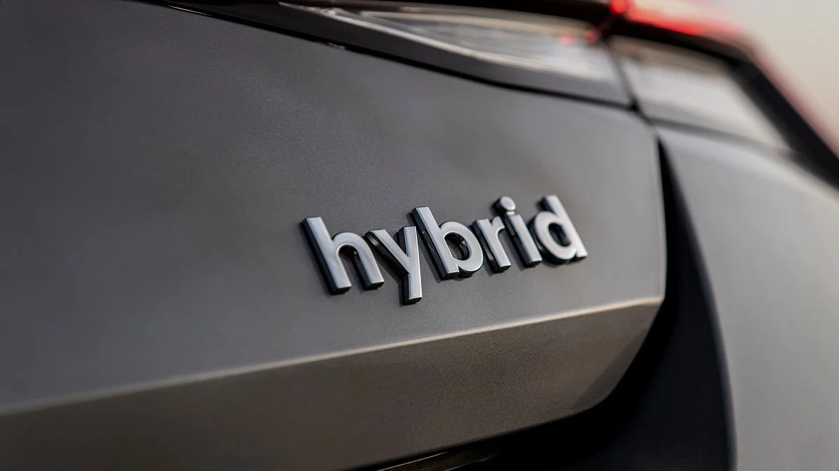 image_6432204951629253078707.jpg?type=w1200