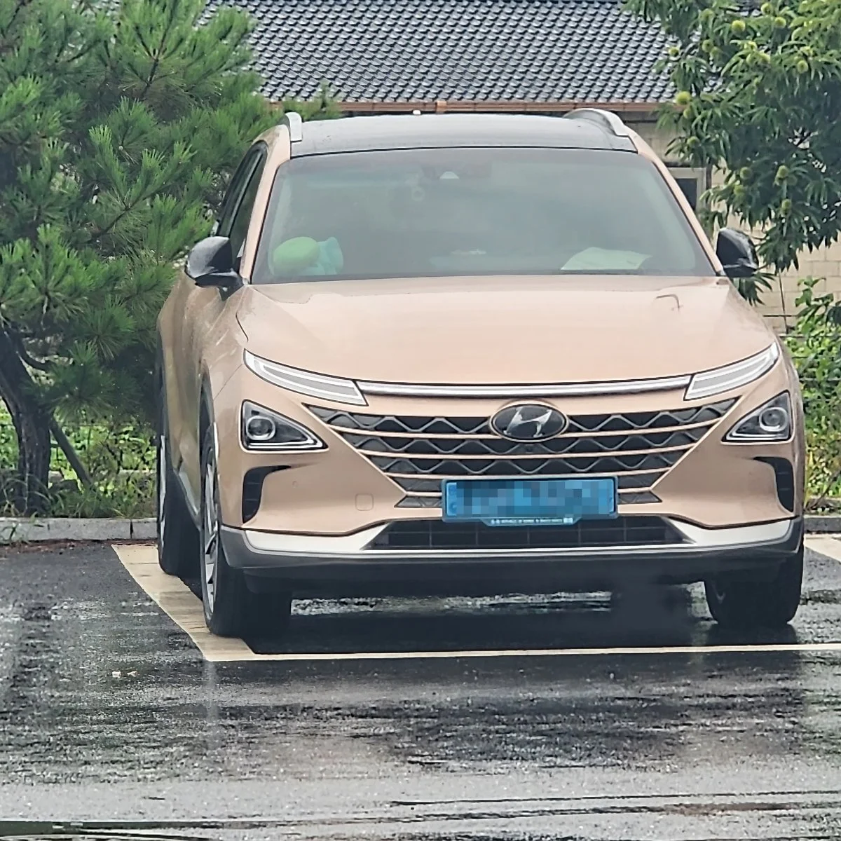 image_7263264701693380581590.jpg?type=w1200