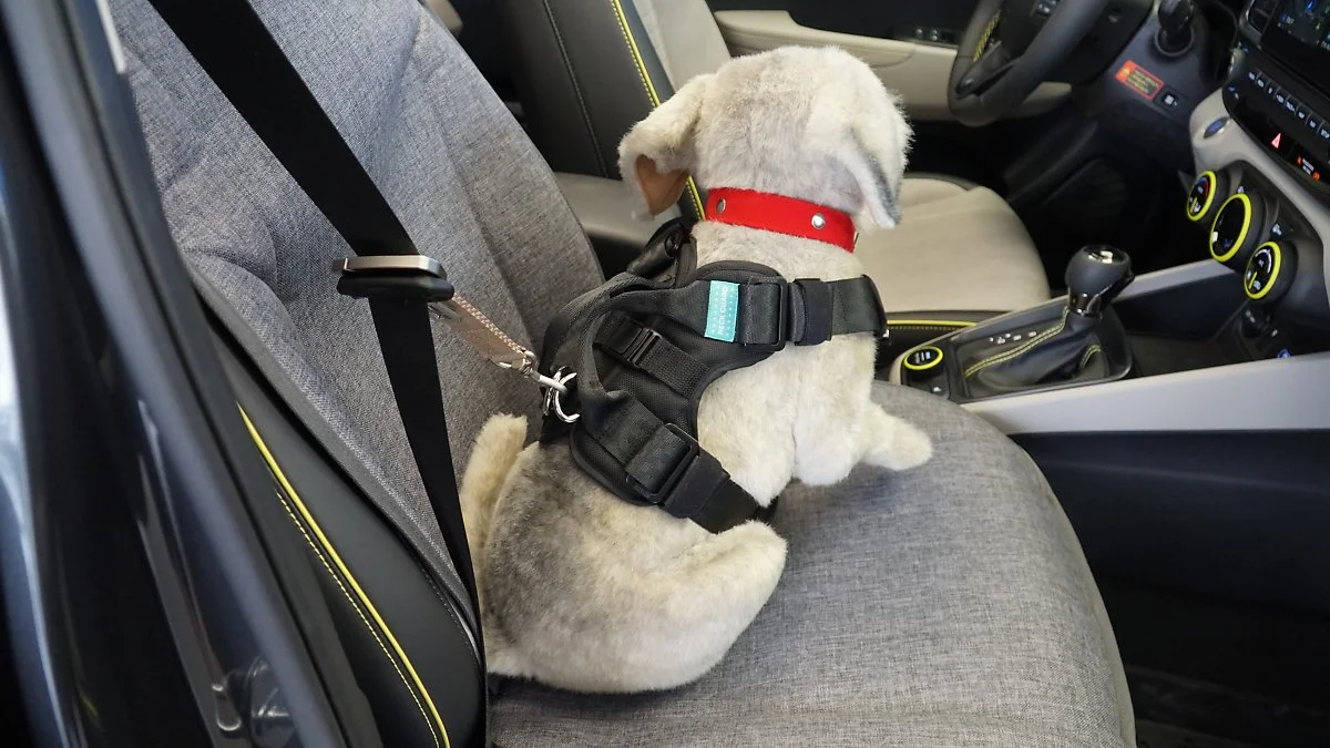 DK_09439.JPG?type=w1200