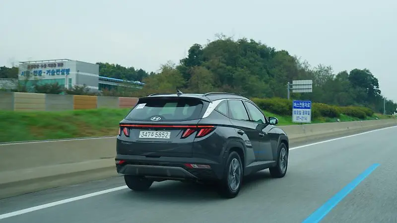 999.jpg?type=w800_q75