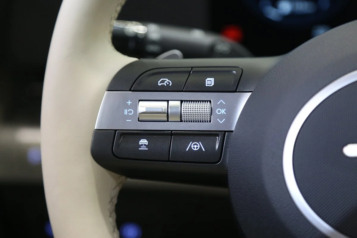 A_%2881%29.JPG?type=w1200