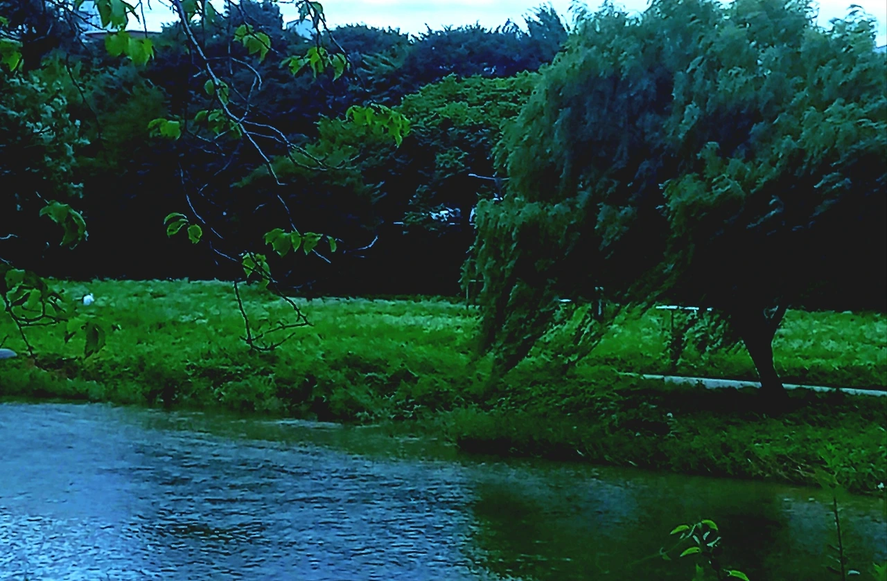 AD_4nXcf1Kd0pw1J5ENlPyR2k2zDv4C72tLu-b1ckBL025R2lcgVY3upgUiF4-OO-CSrzTnRN5vVPf3U5NfVM2_OujkAJwsAQwW0u43lD_N5qTeWdGlkX9BDSB955Go27NUpFqcN2s7Q?key=wsvPnHZXO6oqGvNKF5SNoPkL