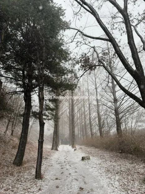 output_3152034003.jpg?type=w466