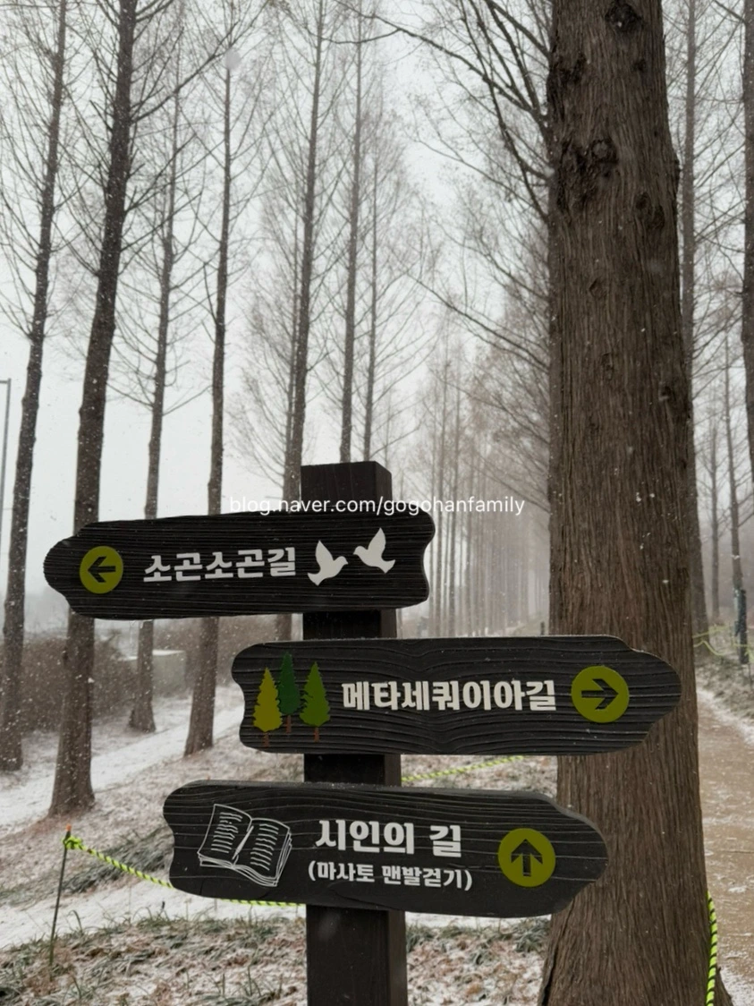 output_580432312.jpg?type=w966