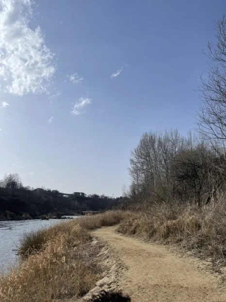 IMG_5286.jpg?type=w466