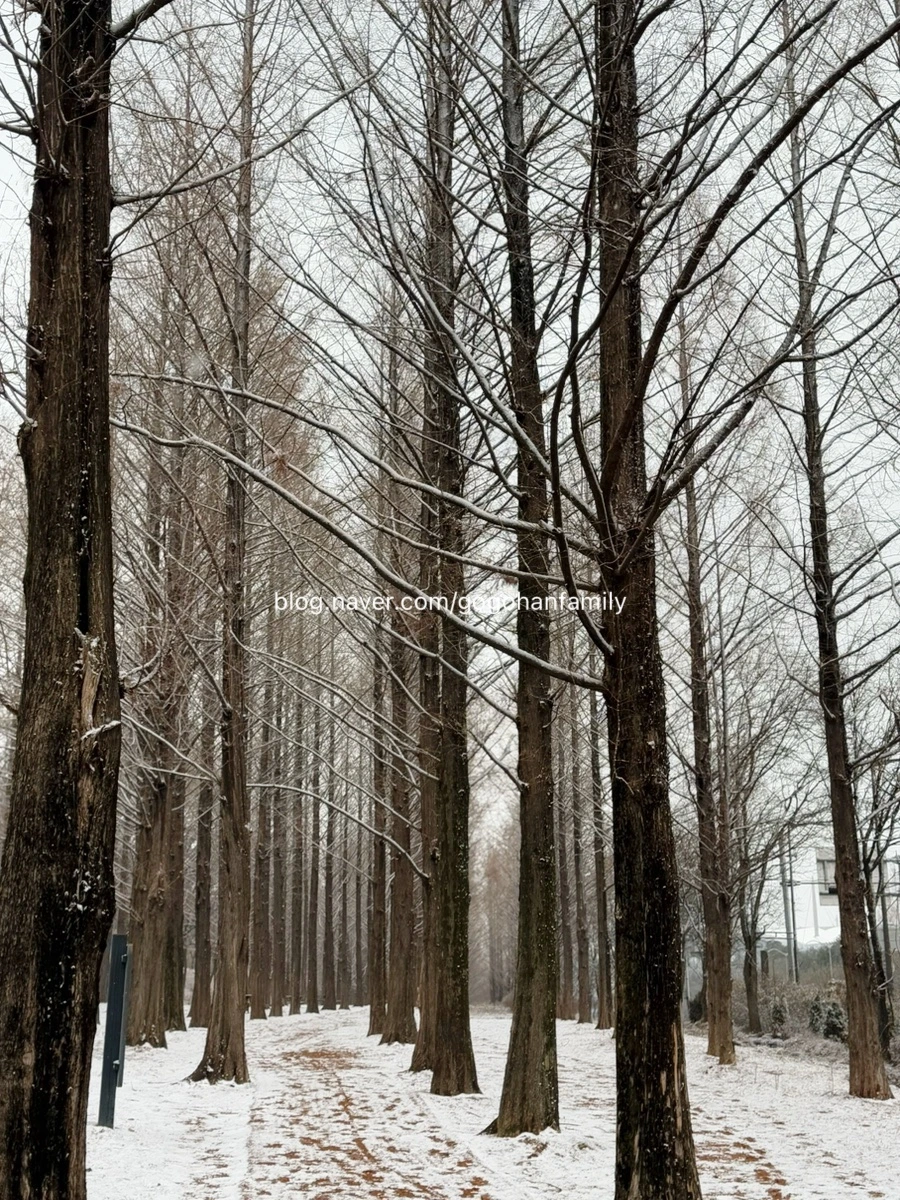 output_2599827420.jpg?type=w966