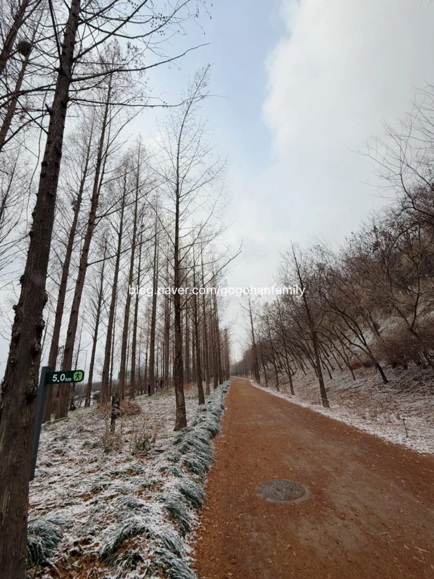 output_3507718402.jpg?type=w966