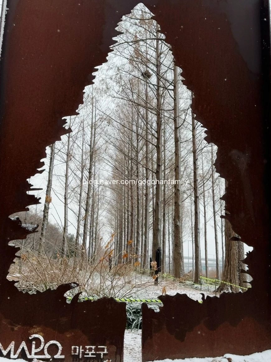 output_3447961538.jpg?type=w966