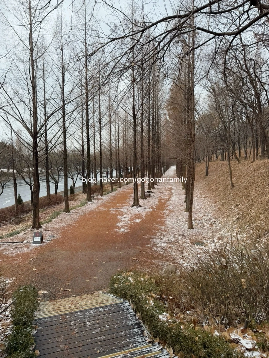 output_163805978.jpg?type=w966