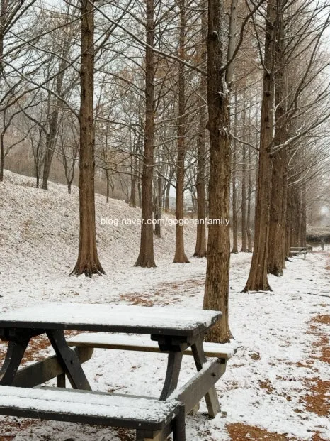 output_2957864032.jpg?type=w466