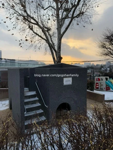 output_2621416406.jpg?type=w466