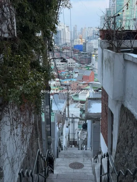 output_3556436264.jpg?type=w466