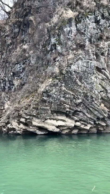 IMG_6931.jpg?type=w466