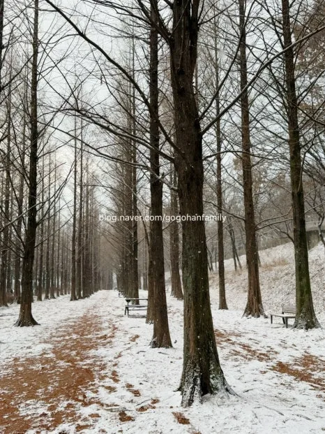 output_1098611568.jpg?type=w466