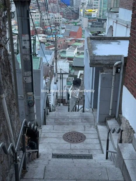 output_2618142534.jpg?type=w466