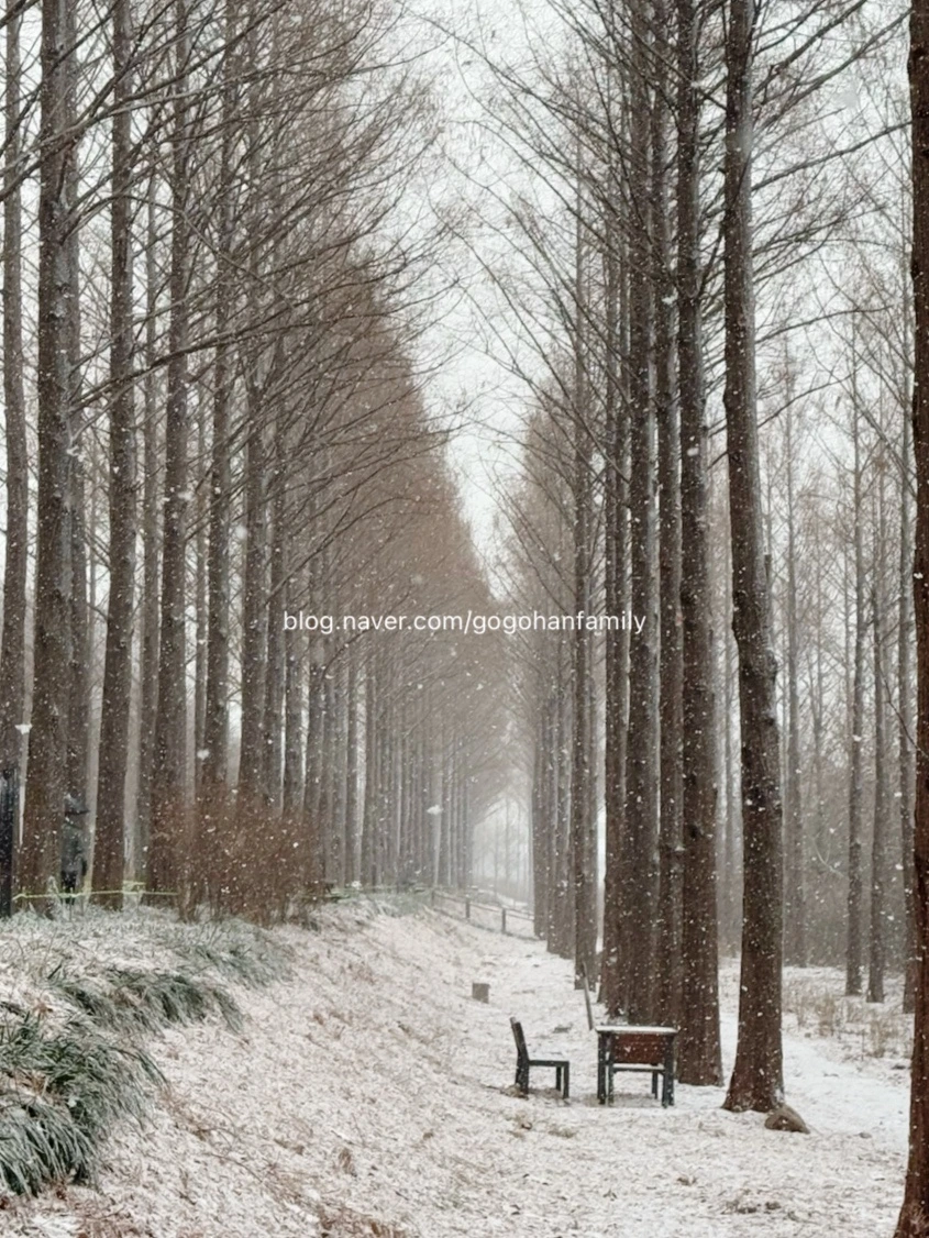 output_3297643821.jpg?type=w966