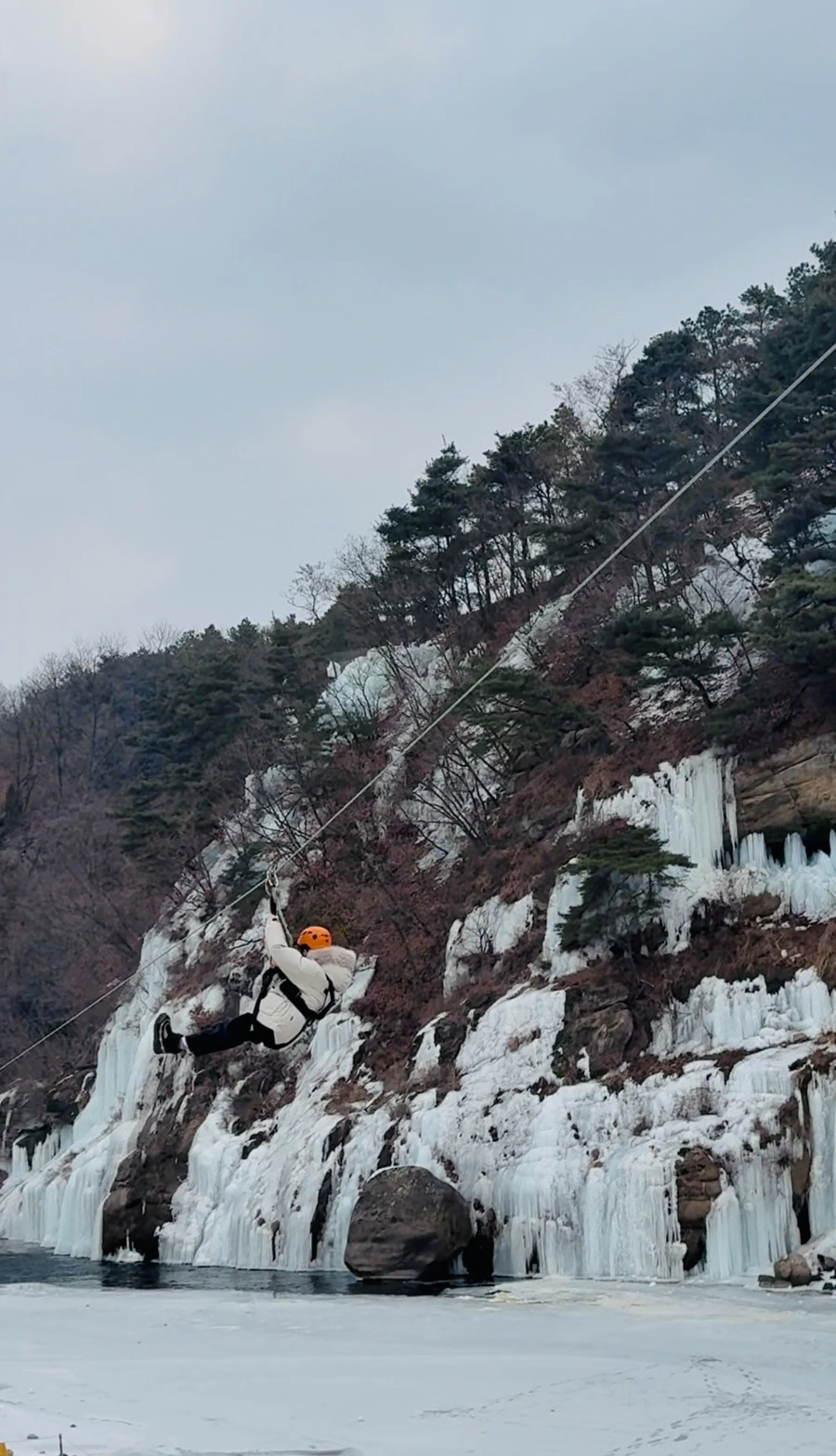 IMG_6935.jpg?type=w966