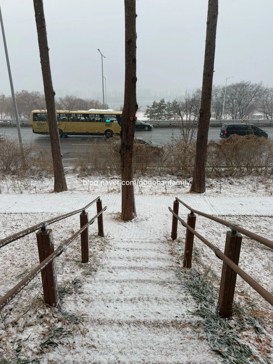 output_1578369145.jpg?type=w966