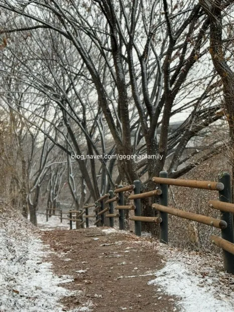 output_1246054642.jpg?type=w466