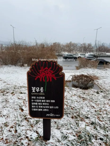 output_3518126821.jpg?type=w466