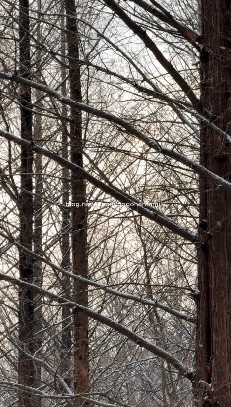 output_4137094031.jpg?type=w466