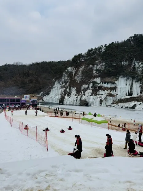 IMG_6373.jpg?type=w466