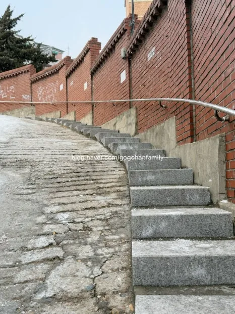 output_376876961.jpg?type=w466