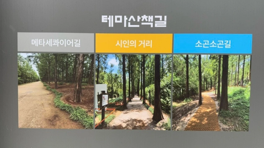 output_2159762025.jpg?type=w966