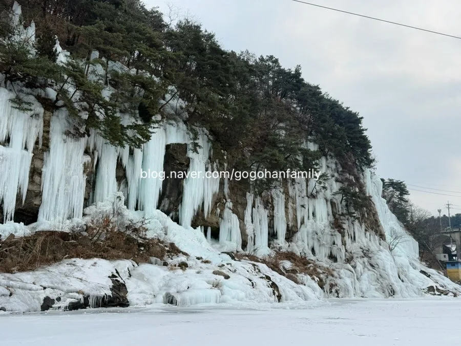 output_2323052481.jpg?type=w966