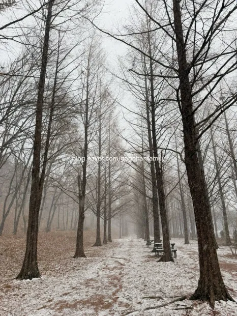 output_4270922730.jpg?type=w466