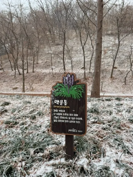 output_4168673389.jpg?type=w466