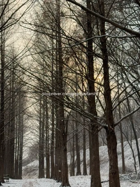 output_2909683028.jpg?type=w466