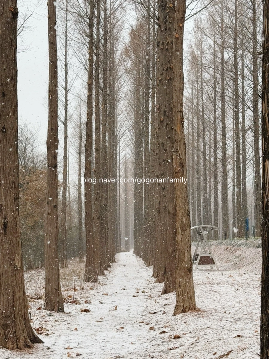 output_1377532666.jpg?type=w966