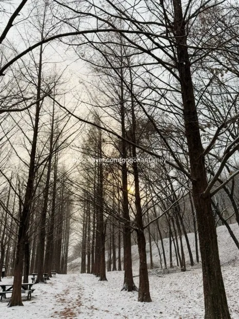 output_4080881270.jpg?type=w466