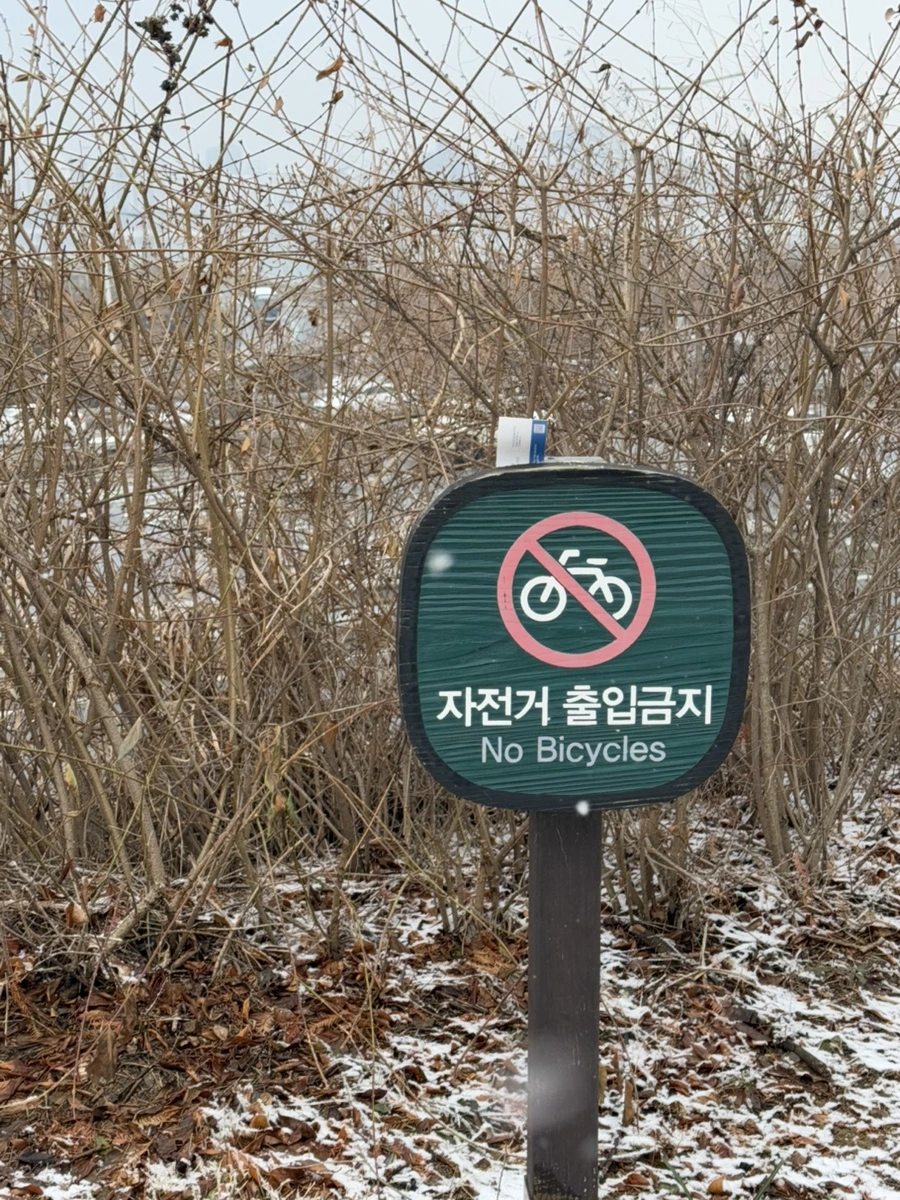 IMG_7401.jpg?type=w966