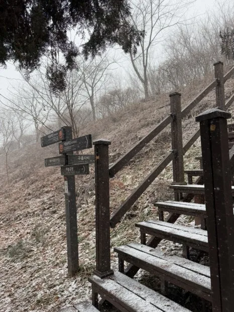 IMG_7291.jpg?type=w466