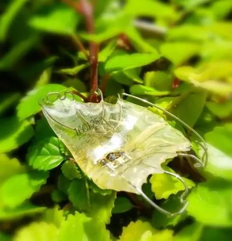 2018-05-08 15;42;19.JPG