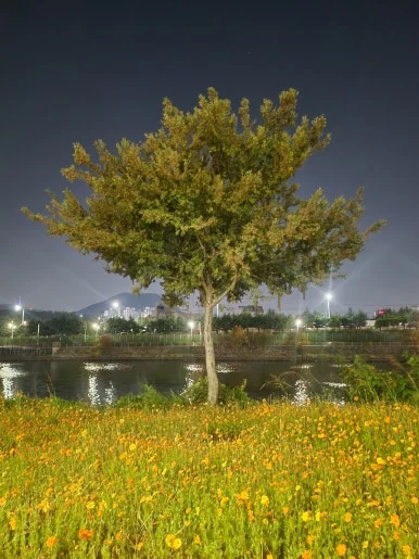 900%EF%BC%BF20241121%EF%BC%BF192943.jpg?type=w386