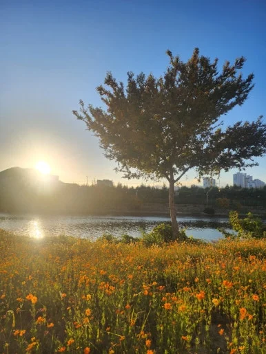 900%EF%BC%BF20241123%EF%BC%BF162942.jpg?type=w386