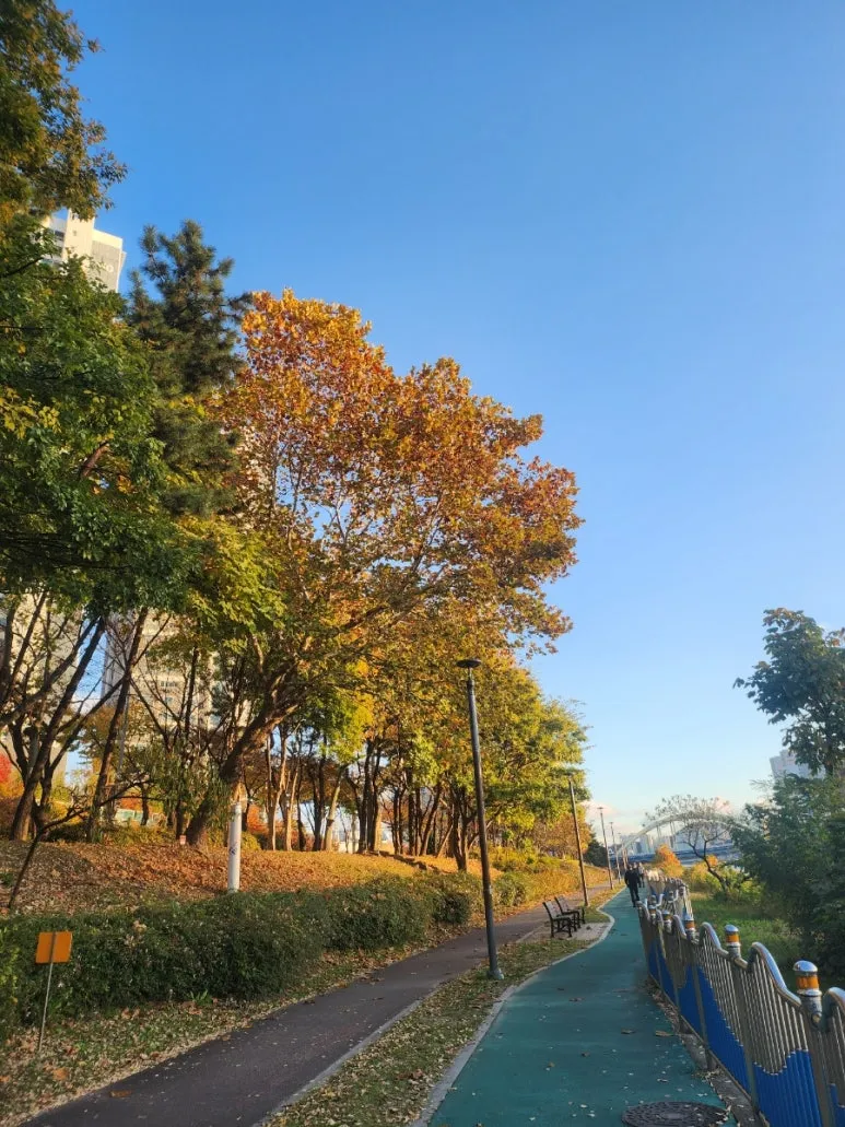 900%EF%BC%BF20241123%EF%BC%BF163256.jpg?type=w773