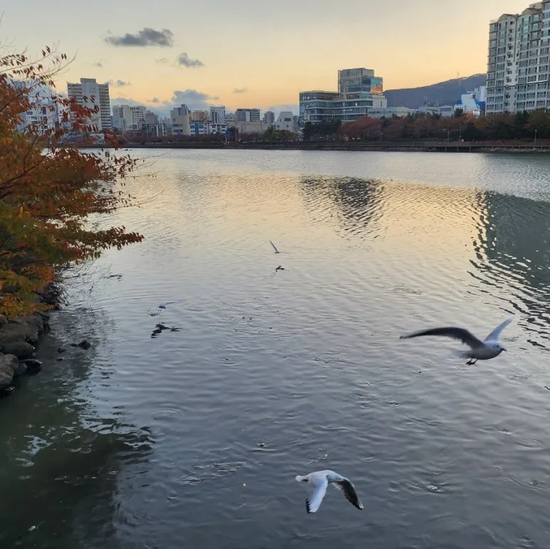 900%EF%BC%BF1732377351899.jpg?type=w773