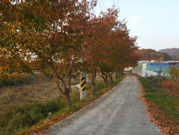 2sDVkOMo96_PUKHHNkb7aZ-Jl9E