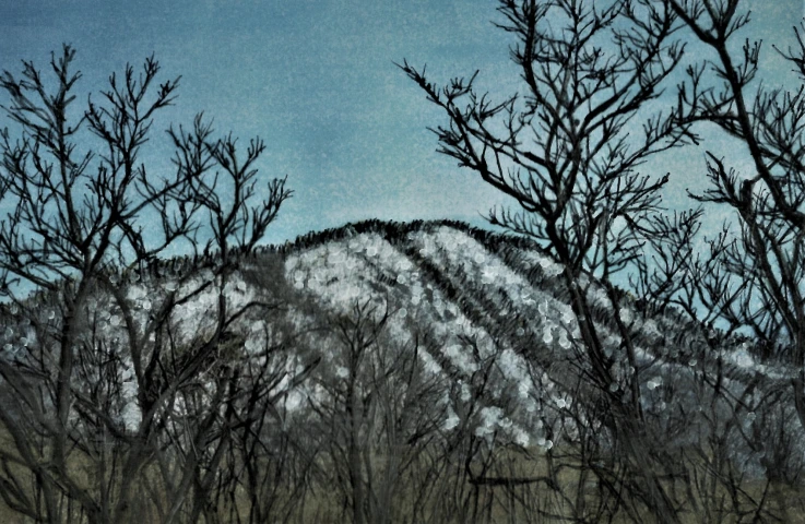 8056d4a070fbf81f209961741281cc0a41b2fc86